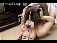 [ Bestiality Sex ] Slutty dirty slut wife does missionary with a mutt
